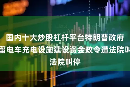 国内十大炒股杠杆平台特朗普政府扣留电车充电设施建设资金政令遭法院叫停