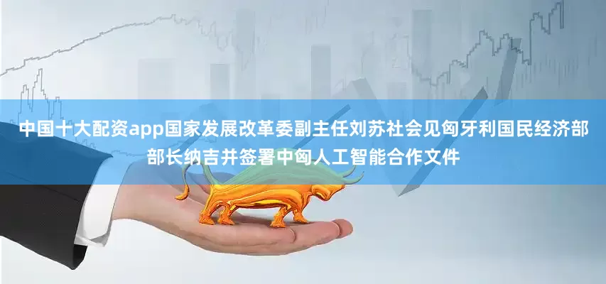 中国十大配资app国家发展改革委副主任刘苏社会见匈牙利国民经济部部长纳吉并签署中匈人工智能合作文件