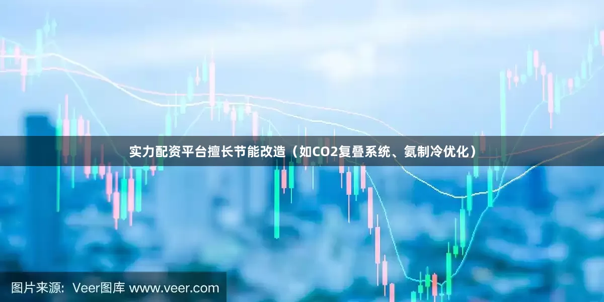 实力配资平台擅长节能改造（如CO2复叠系统、氨制冷优化）